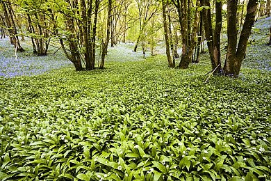 天天日天天添:经济新活力,民生大改善,政策大揭秘-4