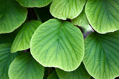 男生女生一起差差差免费软件:情侣互动新选择,休闲竞技游戏走红-2