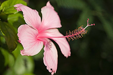 男生捅女生的鸡鸡软件：惊曝：恶意软件潜藏隐私危机，青少年当心！-4