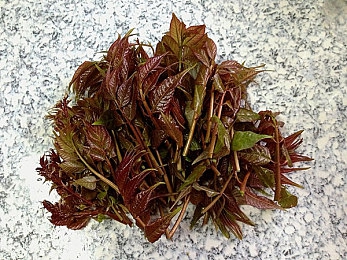 一个吃奶一个添下边：温馨哺乳画面：一家三口传递爱意-4