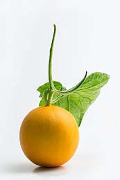 张柏芝跪着给陈冠希囗交：张柏芝私密视频曝光，真相成谜？-2