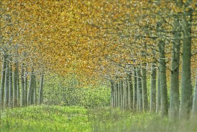 传媒春节回家相亲孟孟：传媒春节相亲，美丽海滨邂逅爱情-4