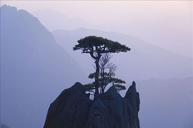 男体育生洗澡 秘：揭秘！男体育生洗澡秘籍，恢复肌肉疲劳！-4