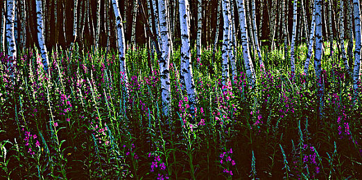 甘雨xman:游戏界女神联手新星,跨界盛宴来袭-4