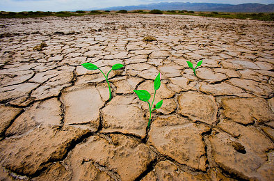 欧美调教鞭打屁股XXX：奇幻王国调教大师，独特游戏体验引关注-2
