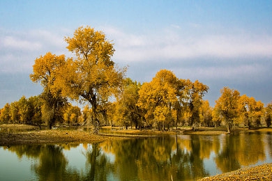 AV软件下载：揭秘：安全娱乐，下载平台哪家强？-3