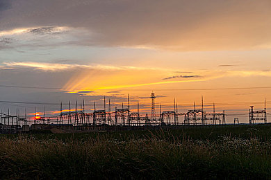 啊∽你tm别 了我的小兔兔：宠物情：小兔兔守护心灵温暖-2