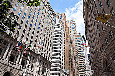 五月丁香六月婷婷啪啪啪：花海探险，神秘森林，游戏新宠来袭-3