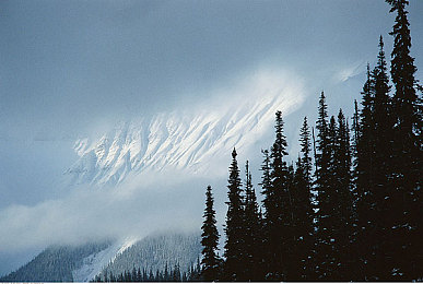 美女裸露全秘 遮挡奶头酒店：神秘酒店冒险，美女揭密大揭秘-4