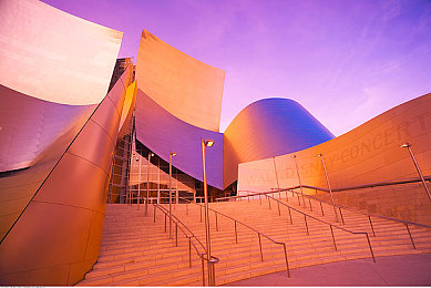 天天日夜夜拍:摄影狂热:记录光影,每日精彩-3