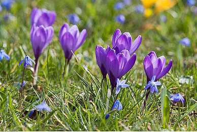 四个校花洗澡被17个农民工：校花遇农民工，游戏情节引网友热议-4