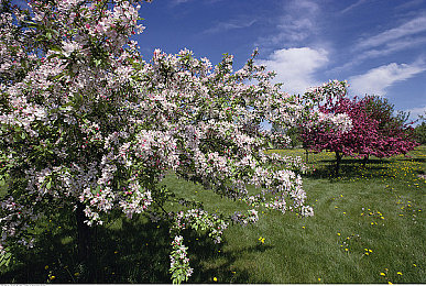 动漫 妓女 3d 巨大 吸乳：争议之作：揭秘动漫领域的独特视角-2