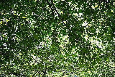 cg51今日爆料：明星丑闻曝光，娱乐圈风云再起-3