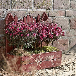 张柏芝跪着给陈冠希囗交：私密片段曝光，昔日情侣再引热议-2