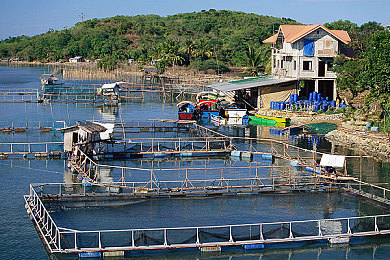 国产强伦姧人妻毛片：奇幻冒险游戏吸睛，国产新秀崛起-2