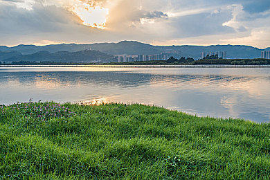 gOgOg〇日本免费观看电视：免费看日剧，高清又便捷，新软件引爆娱乐潮-4