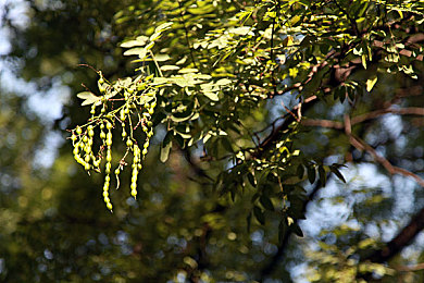 搞机tim免费不收钱嘉兴圈：搞机神器免费升级，手机玩家福音！-3