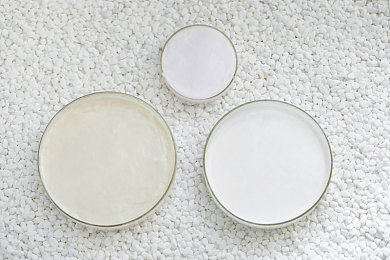 丝瓜,芭乐,猫咪,草莓,小猪：田园生活新体验，萌宠相伴乐趣多-4