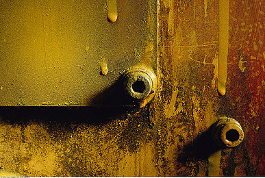 男男互吃 巴网站91：社交平台惊现“男男互吃”，揭秘网络乱象！-4