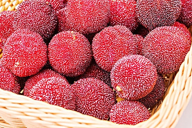 貂蝉被扒下裤子露出双乳：古装美人意外露乳，文化传承引热议