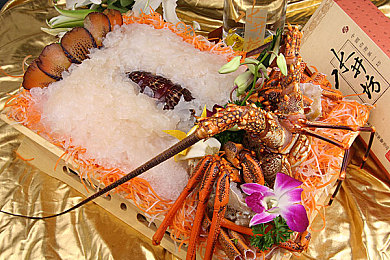 一脱二摸三亲四桶：智能家居新宠，一脱二摸三亲四桶，生活大不同-4