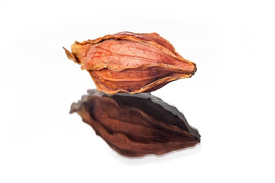 美女的坤坤：网络女神小坤：颜值才华公益三合一-3