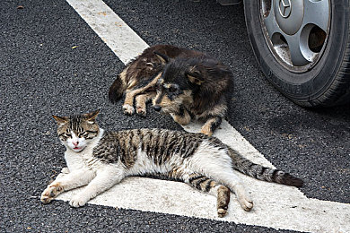 涩涩屋片多多绿巨人:独家揭秘:影视天堂,绿巨人迷必看!-2
