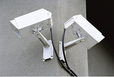 性少妇mdms丰满成熟:时尚新宠:丰满成熟女性的独特魅力-4