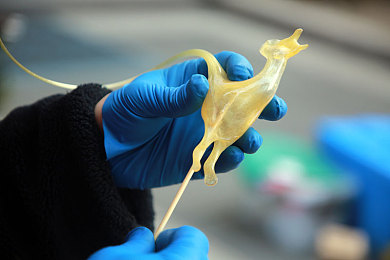 娇妻被按摩师进入征服：职场女性按摩体验：身心洗礼，宁静时光-1