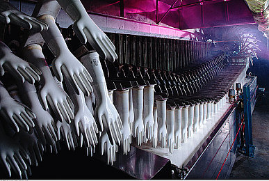 芭乐丝瓜菠萝向日葵鸭脖：神秘美食走红，产业蓬勃发展-3