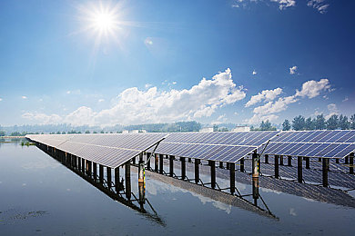 打扑克越来越疼的软件：扑克游戏变“心灵折磨”，玩家越玩越上瘾-3