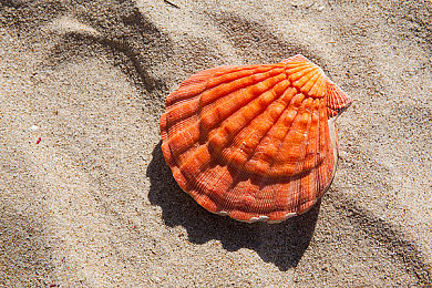 美女扒开腿让人捅：勇敢反击，美女夜归途中智斗色狼-4