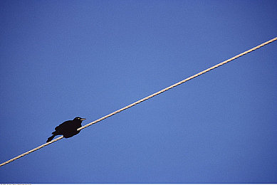 天堂一区：都市心选，天堂宜居体验-4