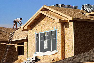 性猛交xxxx富婆老太婆：奇幻世界冒险，富婆老太婆成焦点-2