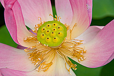 欧美大尺寸suv免费：免费大SUV抢疯了，车市狂欢来袭-4