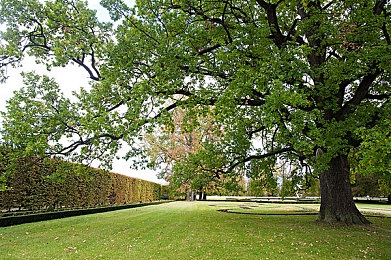 搞机tim免费不收钱嘉兴圈：搞机神器免费升级，手机玩家福音！-4