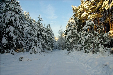 34147大但人文艺术的价值：艺术之光：人文关怀与时代精神碰撞-2