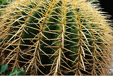 天天色色：网海泛舟，＂天天色色＂生活启示录-3