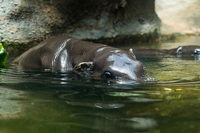 夜里十八禁：夜禁风波：未成年保护，你支持吗？-2