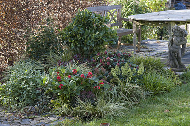 欧美高清绿奴cuckolds：婚姻颠覆？揭秘欧美神秘“绿奴”现象-3