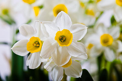 男生把小肌伸到女生的小肌里:爱在指尖,情感之旅等你开启-3