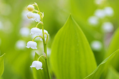 34147大但人文艺术的价值：艺术之光：人文关怀与时代精神碰撞-3