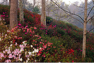 班长让我揉她 脱她衣服漫画：网络漫画引发争议，道德底线何在？-3