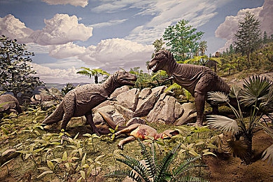 18岁禁止软件：揭秘“18岁禁软”：护航青春，守护网络安全-3