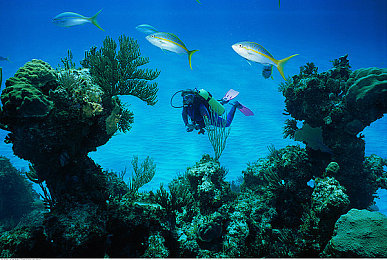 а√天堂中文官网资源8:游戏大更新!神秘章节等你探索-3