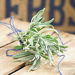 男生困困放入女生困困的代码：都市减压新宠，趣味游戏走红网络-2