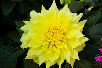 李梓熙捆绑一区二区：游戏盛宴：跨界互动，共探李梓熙奇遇-4