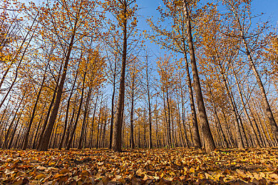 男生困困进女生困困洞：校园迷路：男生误闯女生宿舍引关注-3