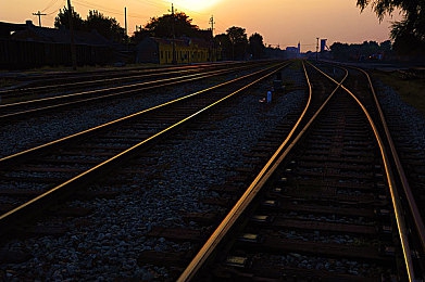 婷婷五月天丁香花：百年丁香花海，五月天浪漫绽放-5