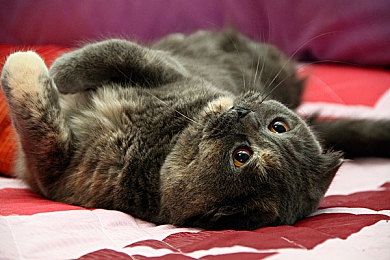 天操天天干：江湖传奇再起，武侠新游引热潮-2